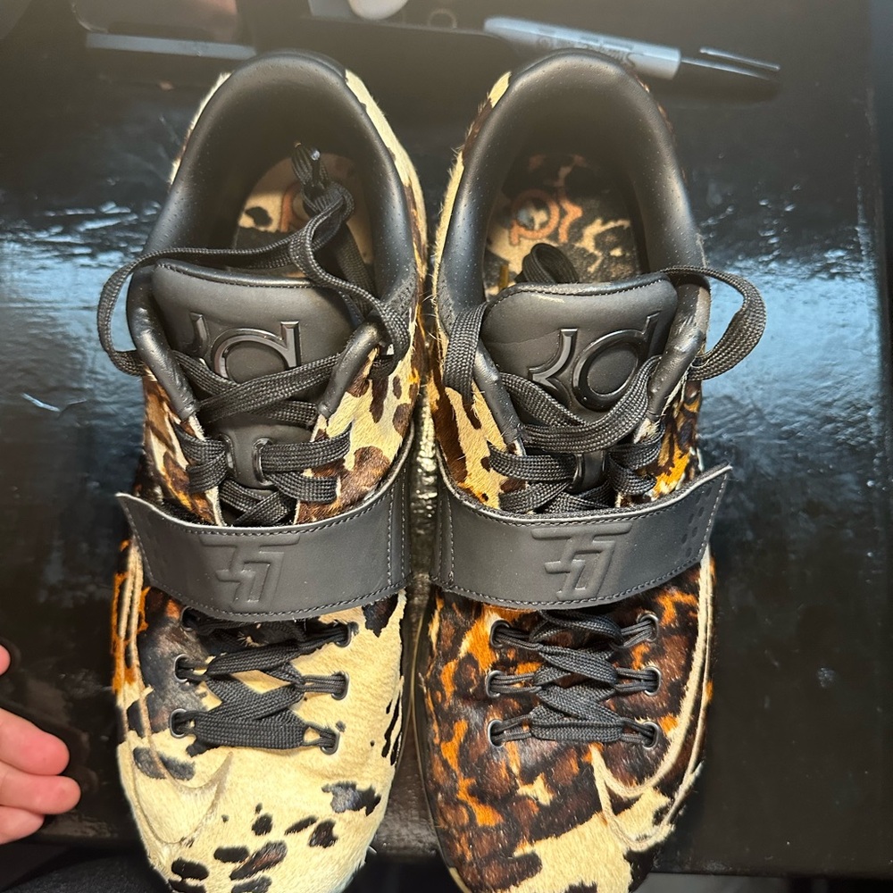 KD 7 LongHorns